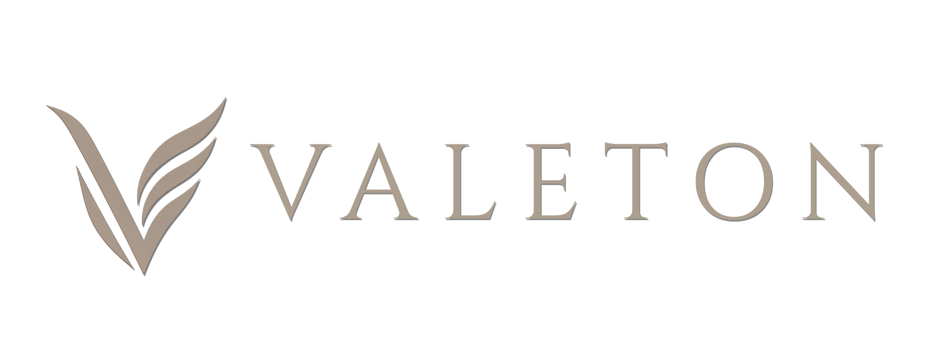 Valeton účetnictví
